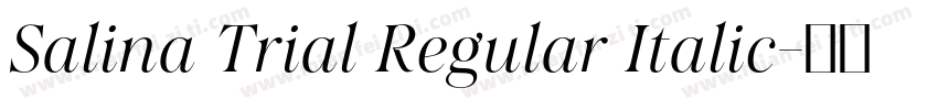 Salina Trial Regular Italic字体转换